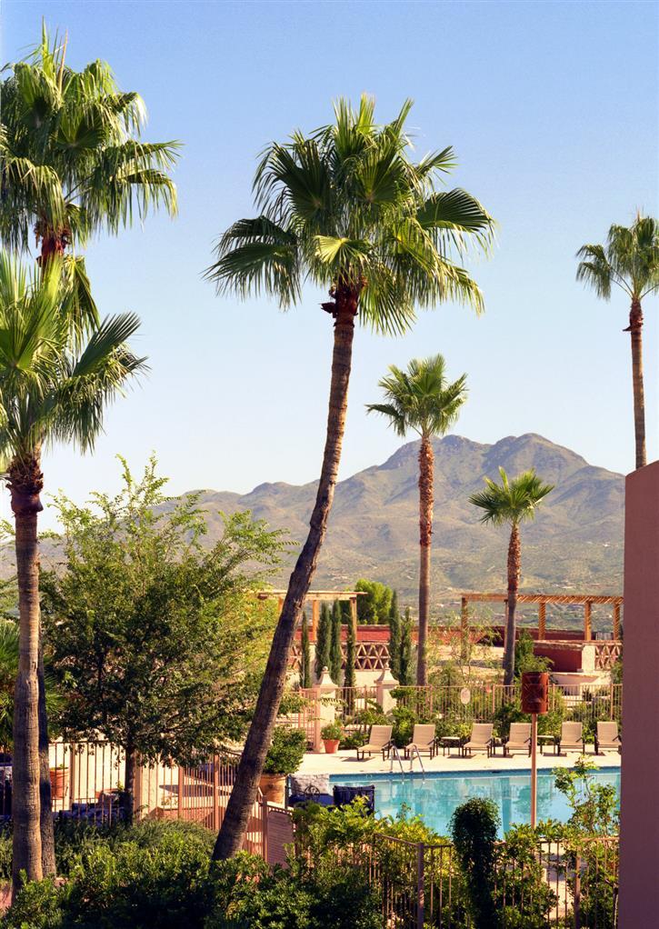 Esplendor Resort At Rio Rico Facilités photo