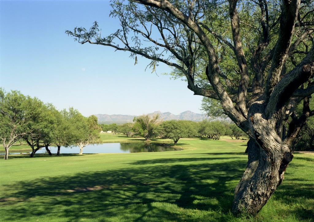 Esplendor Resort At Rio Rico Facilités photo
